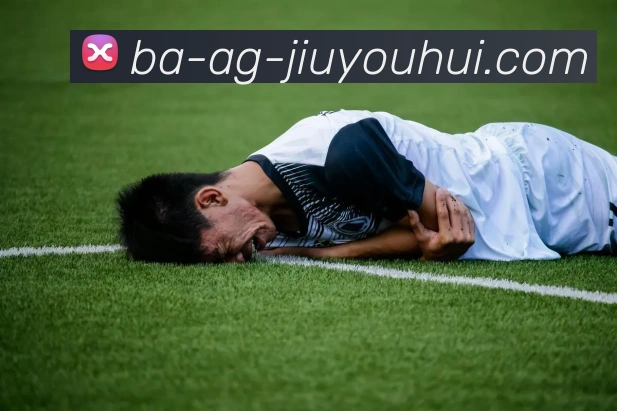 AG九游会官网平台生态图