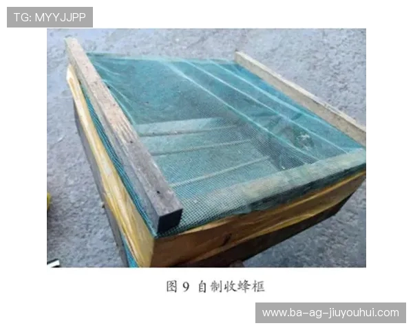 全面详解足球球门是否可拆卸及其安装携带与安全使用指南实操建议